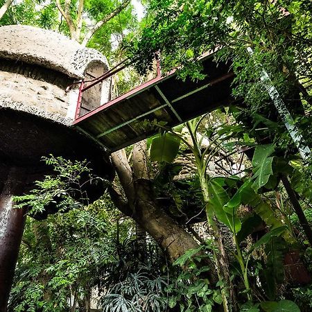 Dao Anh Khanh Tree House Hanoi Exterior foto
