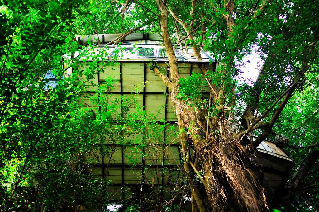 Dao Anh Khanh Tree House Hanoi Zimmer foto