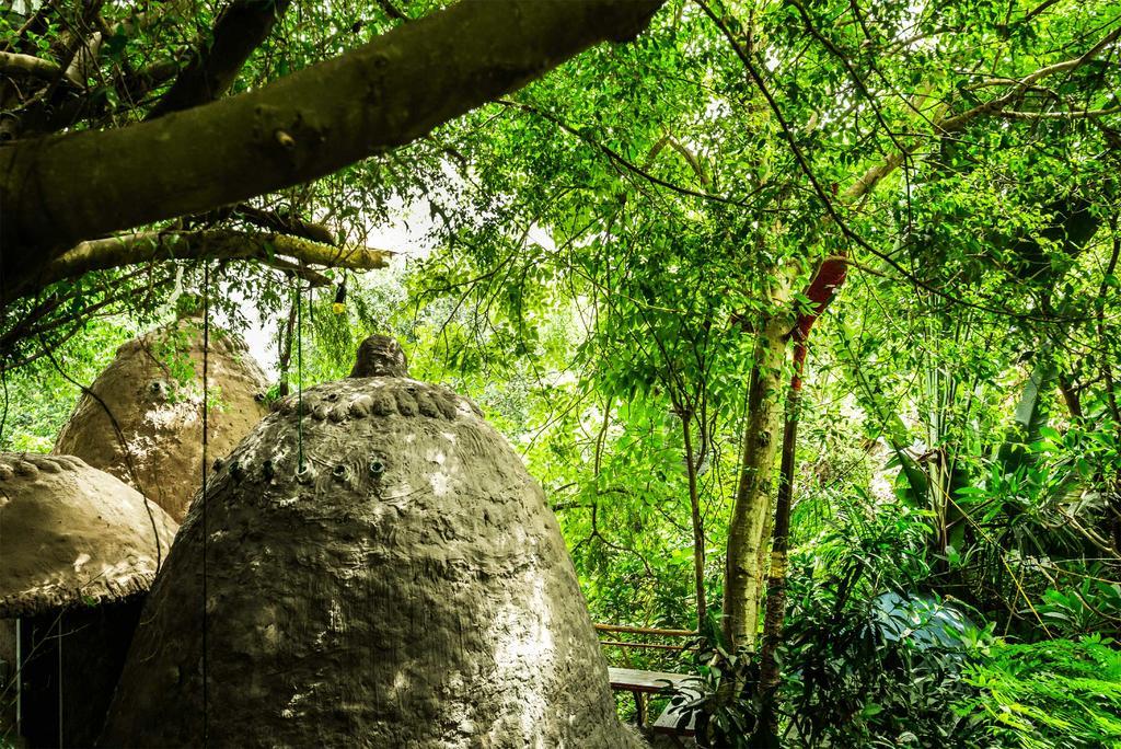 Dao Anh Khanh Tree House Hanoi Exterior foto