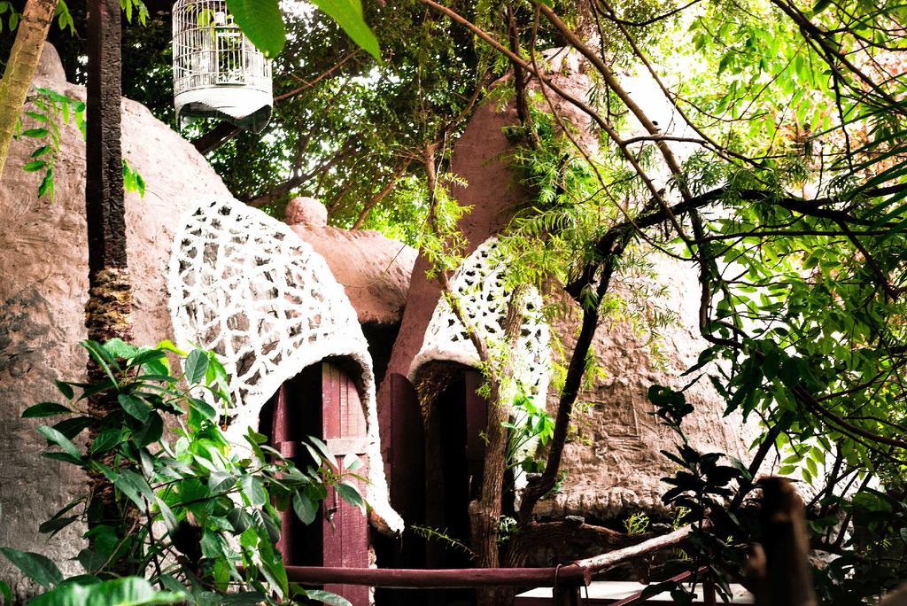 Dao Anh Khanh Tree House Hanoi Exterior foto