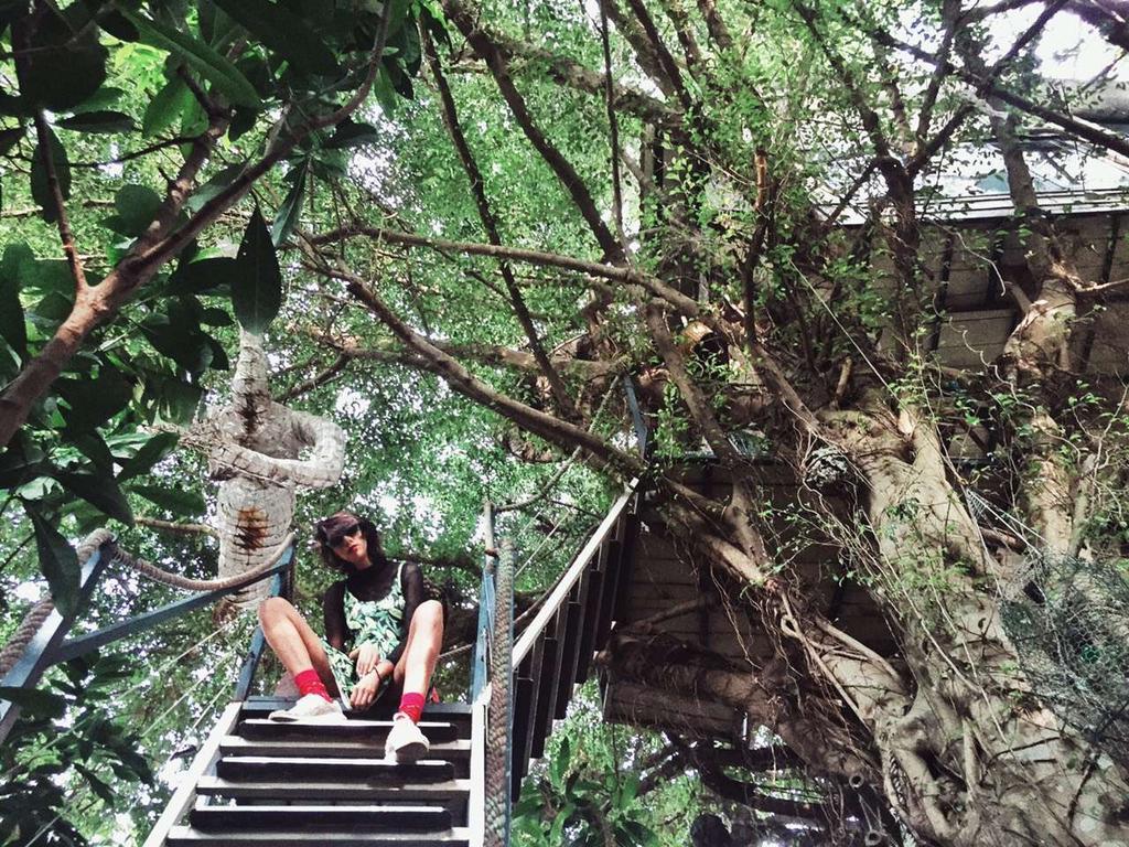 Dao Anh Khanh Tree House Hanoi Exterior foto
