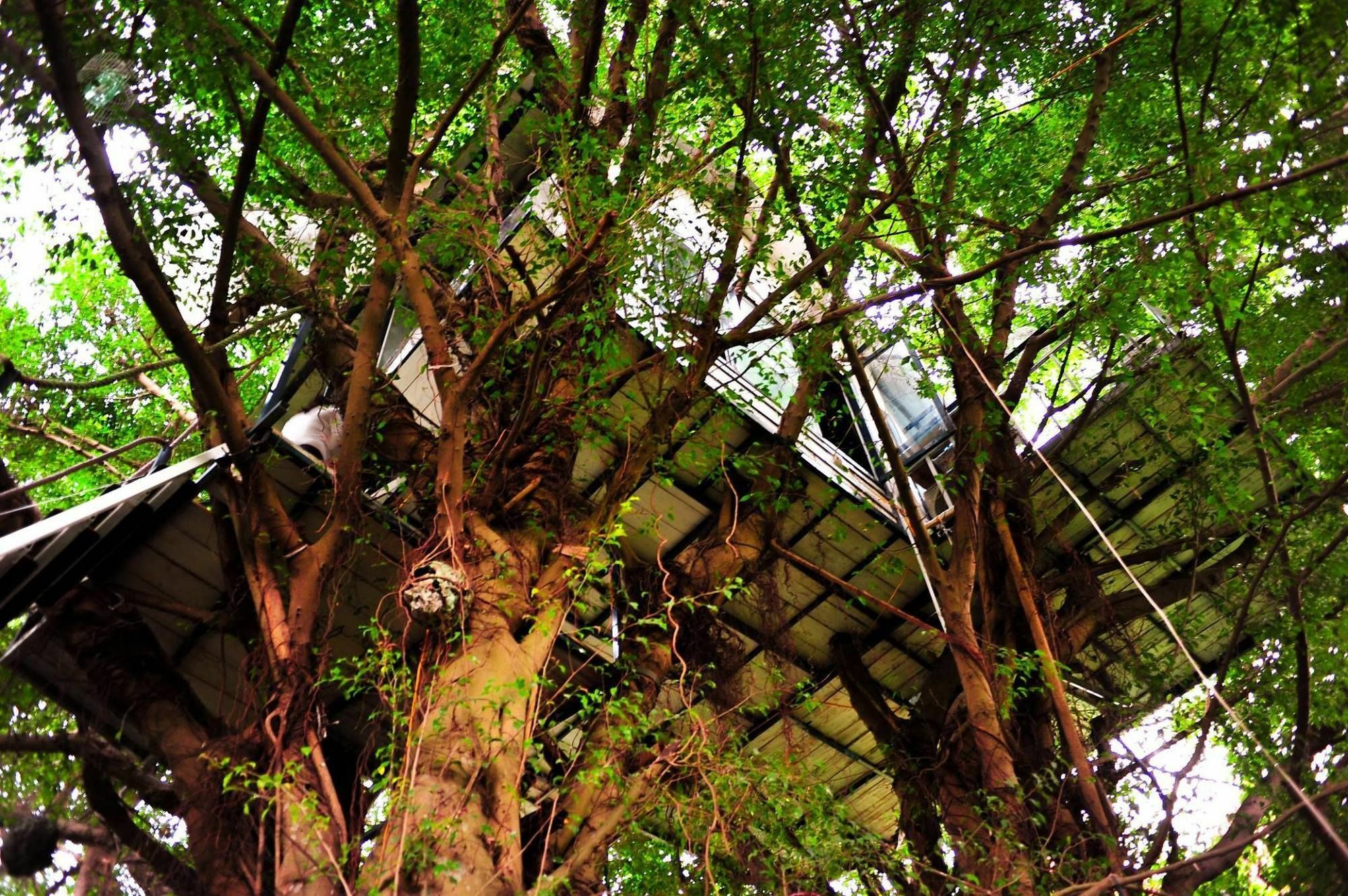 Dao Anh Khanh Tree House Hanoi Exterior foto